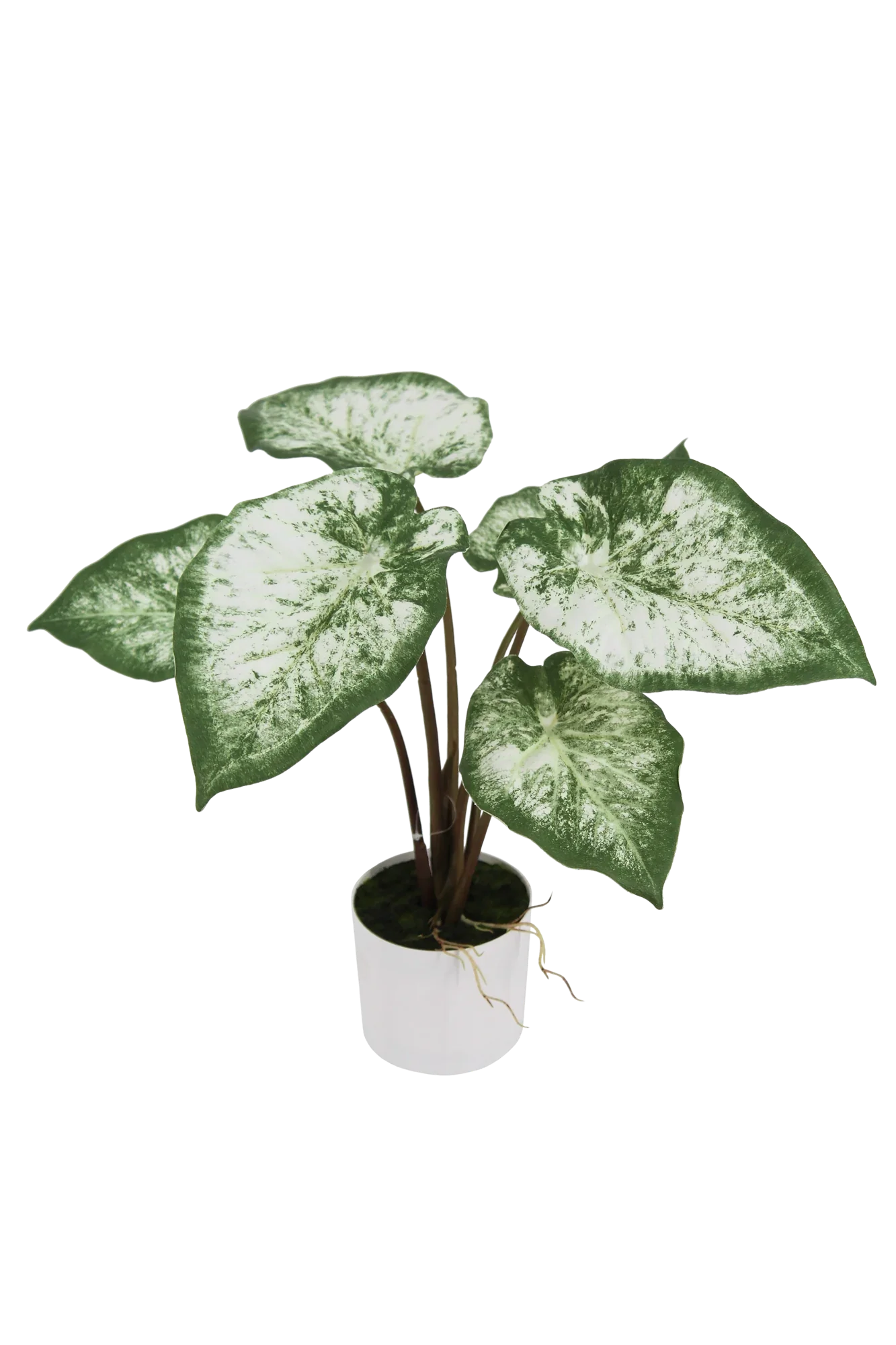Künstliche Caladium - Dalia | 45 cm