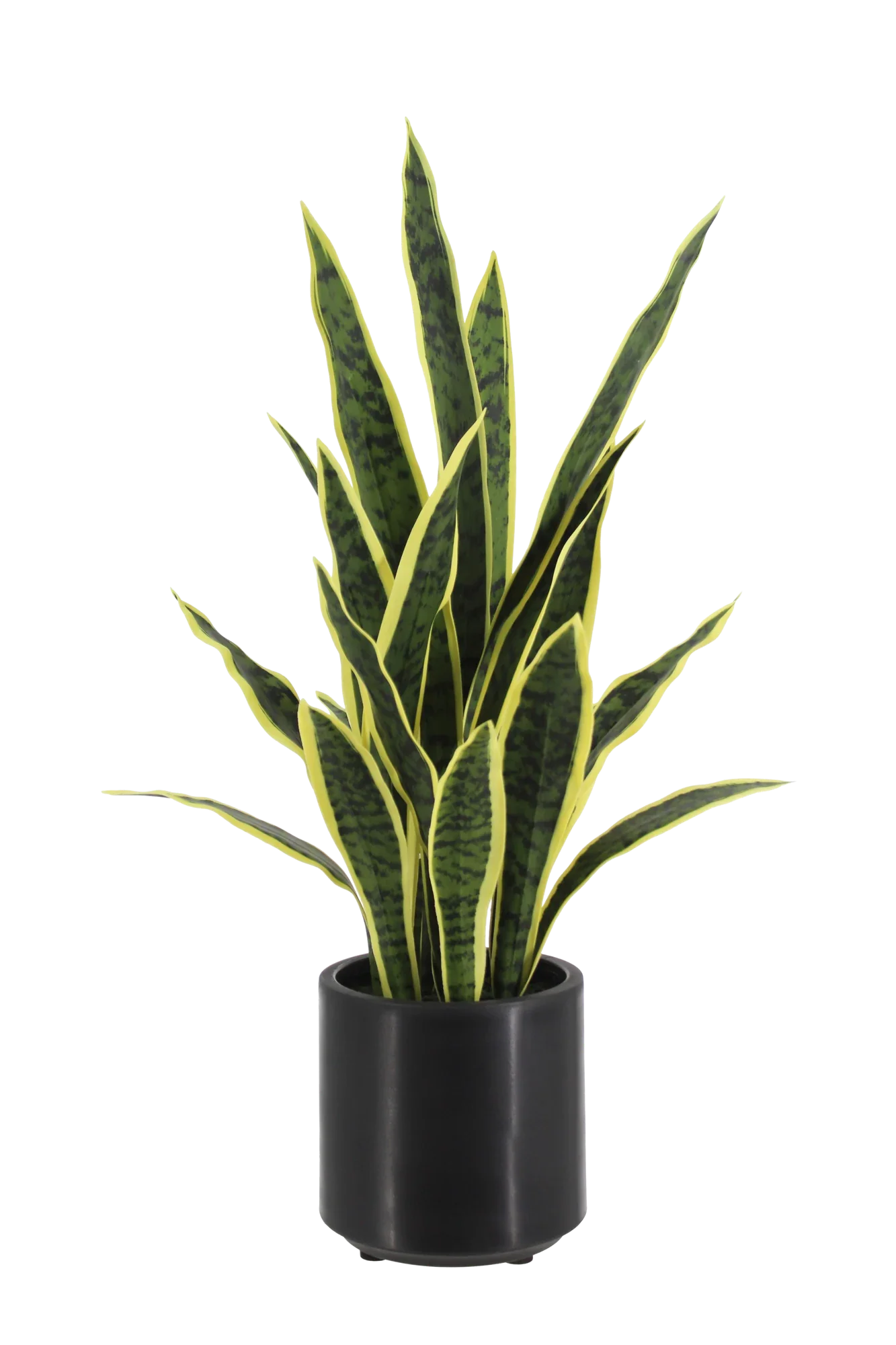 Künstlicher Bogenhanf - Carlos | 75 cm