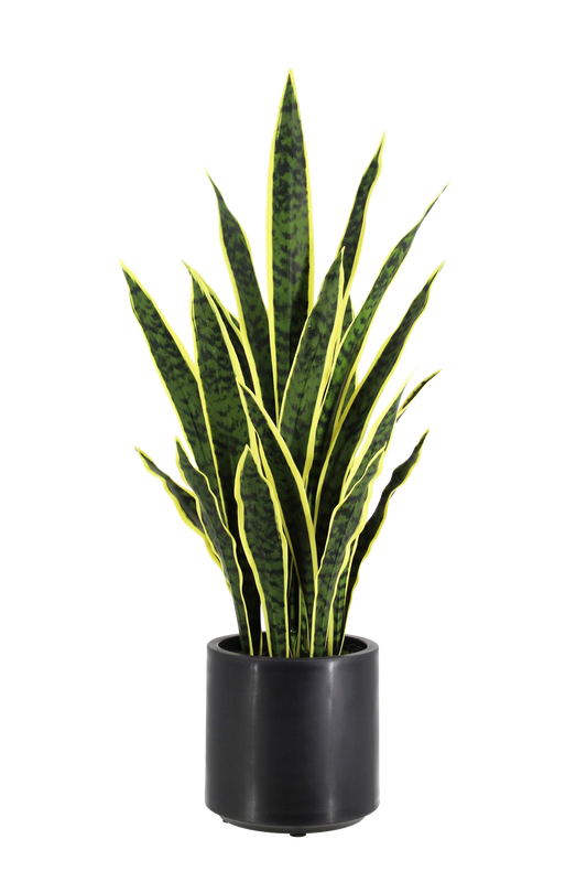 Künstlicher Bogenhanf - Juan | 90 cm