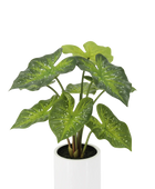 Künstliche Caladium - Tiara | 60 cm