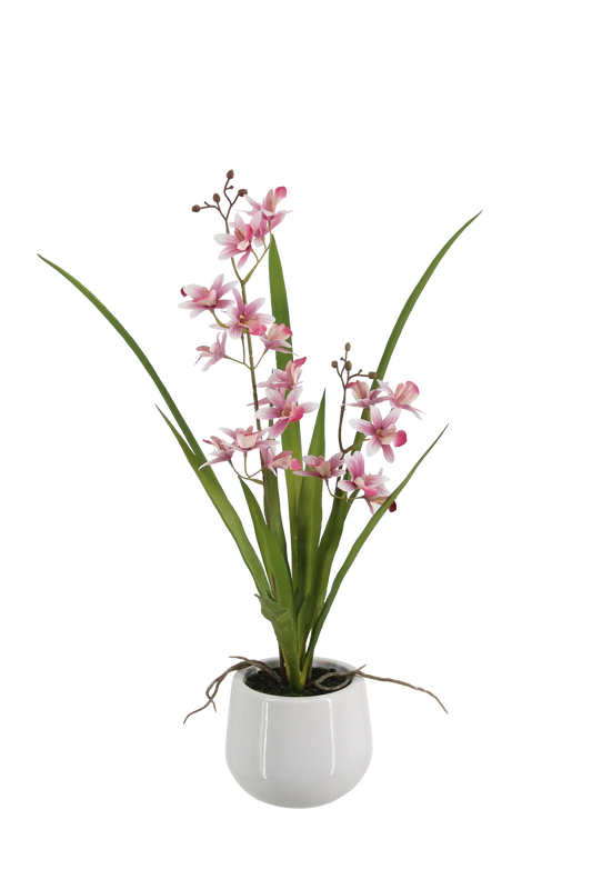 Künstliche Orchidee - Feng | 51 cm