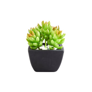 Künstliche Sukkulente – Nepomuk | 14 cm