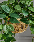 Künstliche Hänge-Efeutute – Theresia | 80 cm