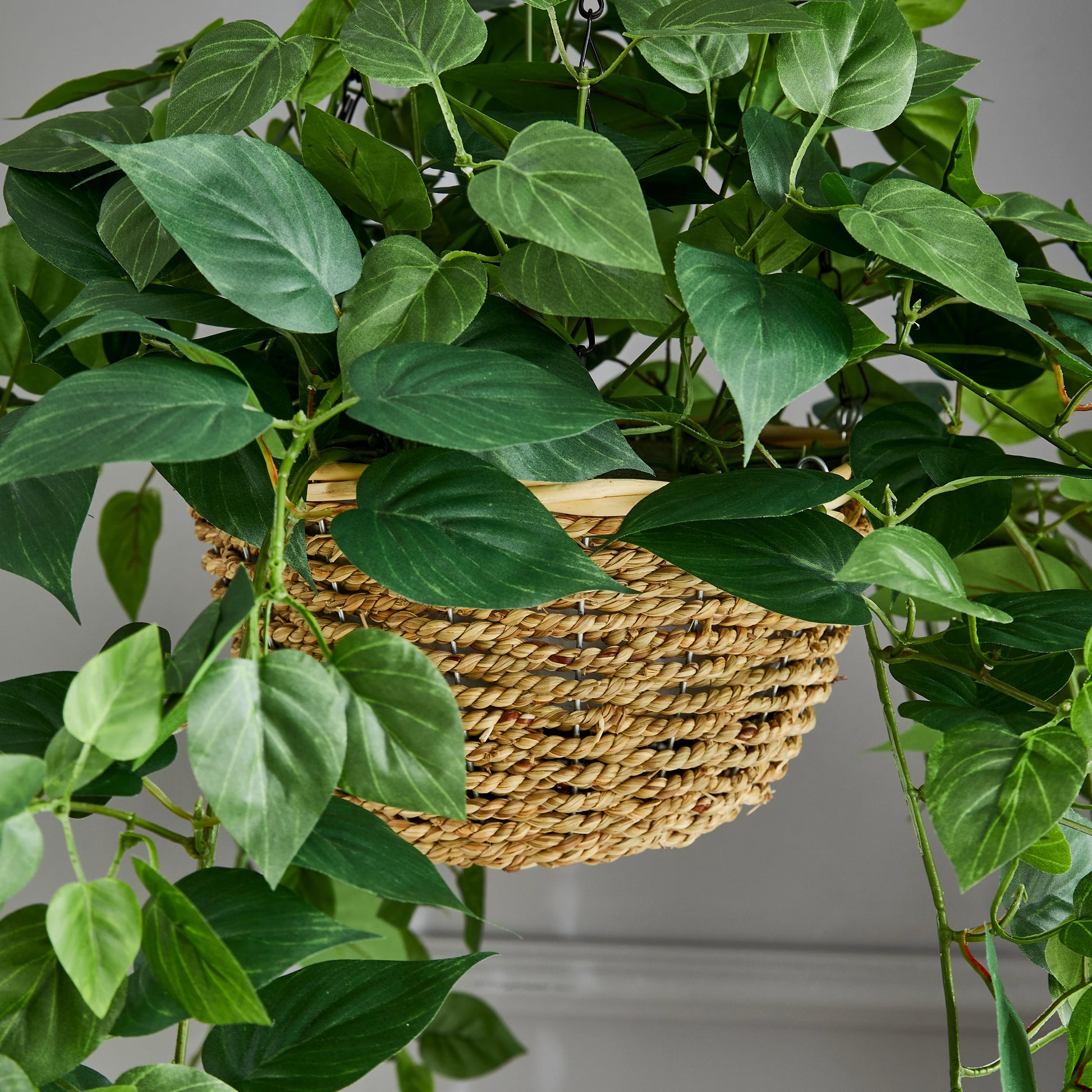 Künstliche Hänge-Efeutute – Theresia | 80 cm