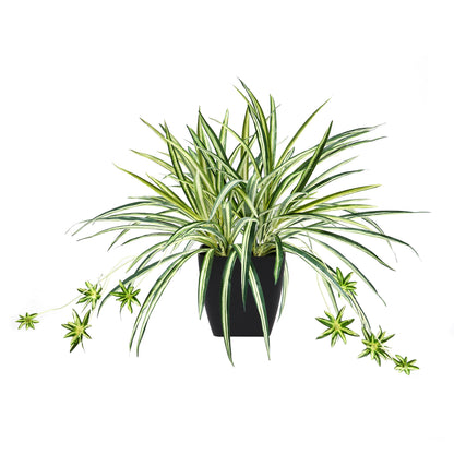 Künstliche Grünlilie – Liora | 50 cm