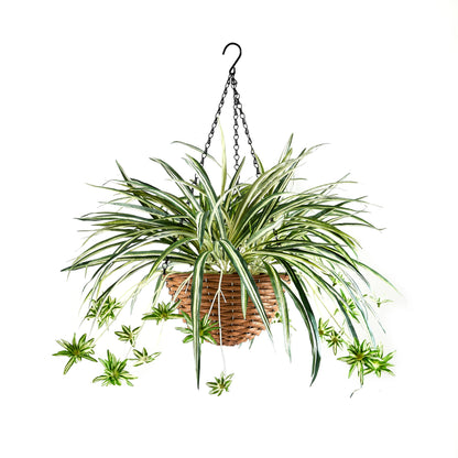 Künstliche Hänge-Grünlilie – Aurelio | 60 cm