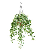 Künstlicher Hänge-Efeu – Seraphine | 100 cm