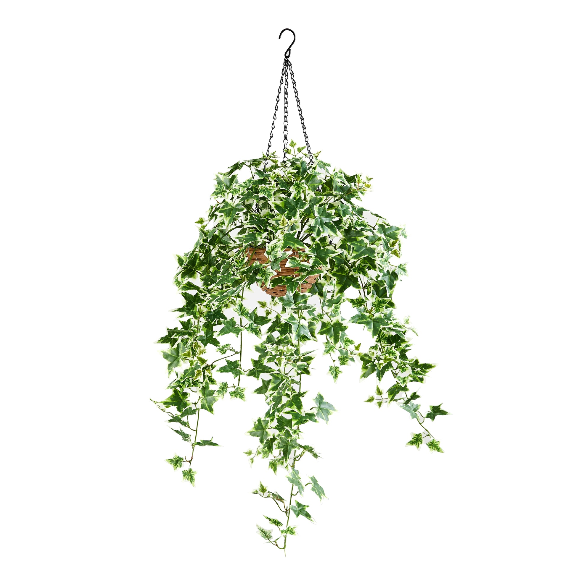 Künstlicher Hänge-Efeu – Seraphine | 100 cm