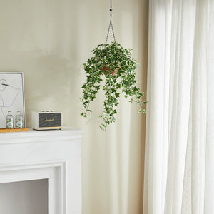 Künstlicher Hänge-Efeu – Seraphine | 100 cm
