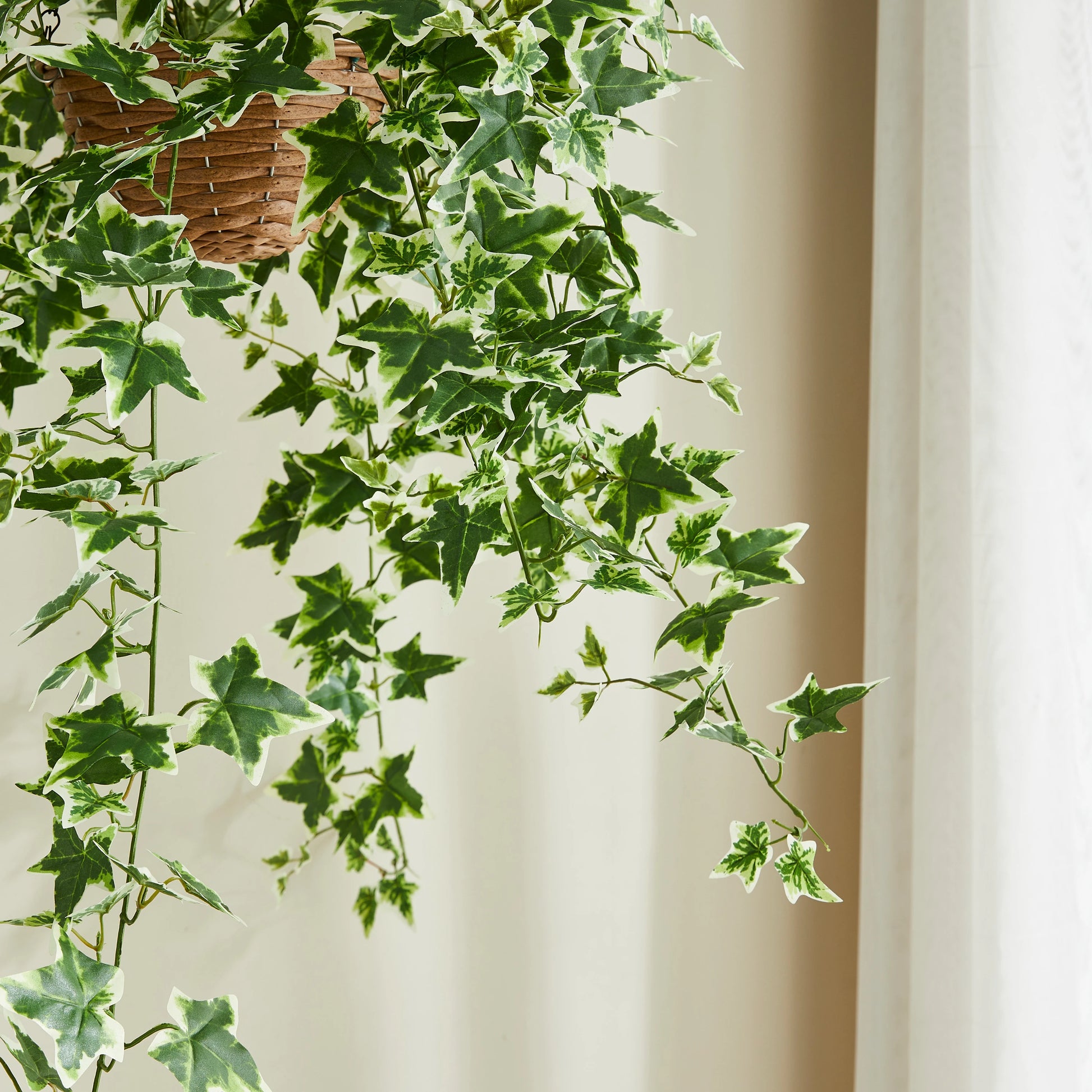 Künstlicher Hänge-Efeu – Seraphine | 100 cm