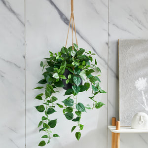 Kunstpflanze 80 cm – Künstliche Pflanzen 80 cm kaufen