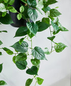 Künstlicher Hänge-Pothos – Melusine | 80 cm