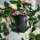Künstlicher Hänge-Jasmin - Florina, 80 cm, Kunstpflanze von aplanta, Steckpflanze, in Grün, für drinnen