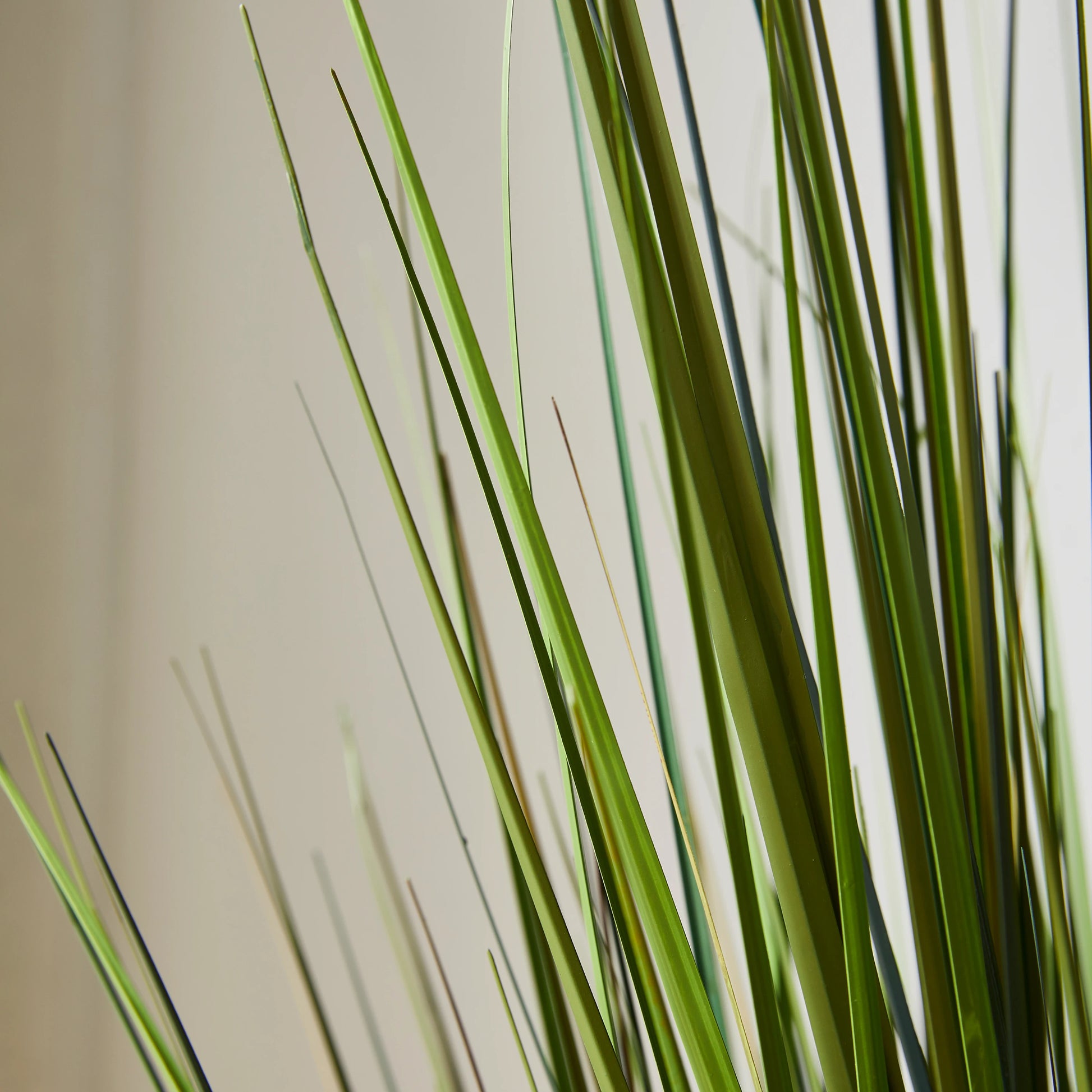 Künstliches Gras - Selwyn, 90 cm, Kunstpflanze von aplanta, in Grün, für drinnen
