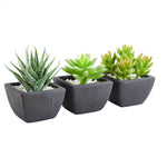 Künstliches Sukkulenten-Set - Aurea, 14 cm, Kunstpflanze von aplanta, in Grün, für drinnen