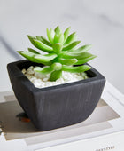 Künstliches Sukkulenten-Set – Aurea | 14 cm
