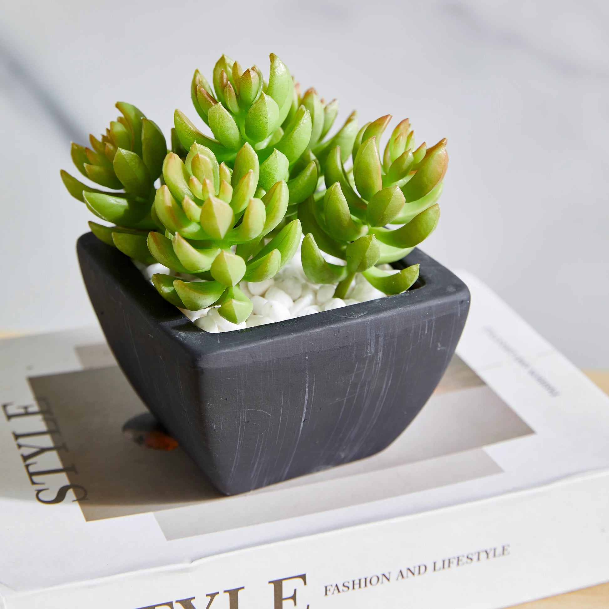 Künstliches Sukkulenten-Set – Aurea | 14 cm