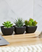 Künstliches Sukkulenten-Set – Aurea | 14 cm