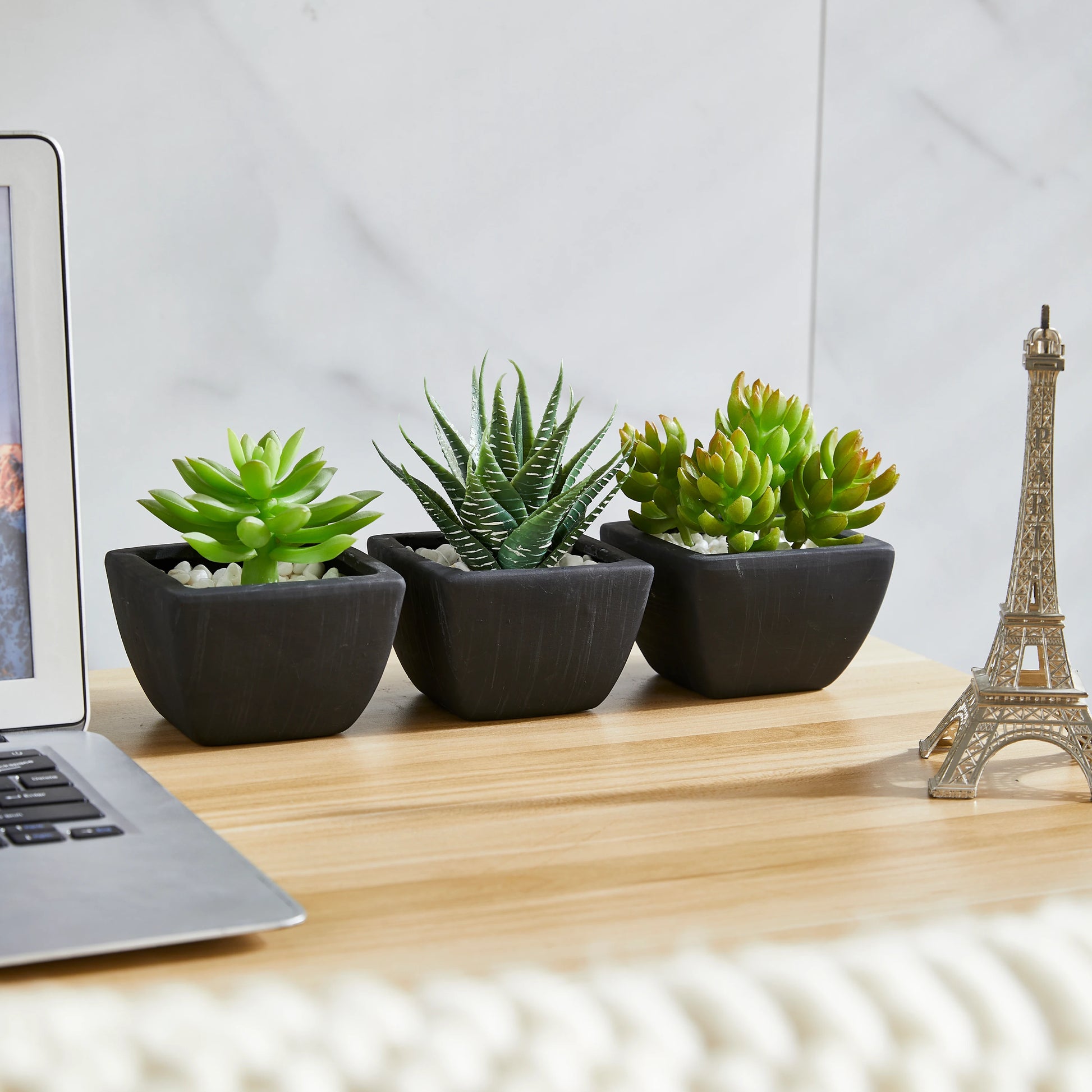 Künstliches Sukkulenten-Set – Aurea | 14 cm