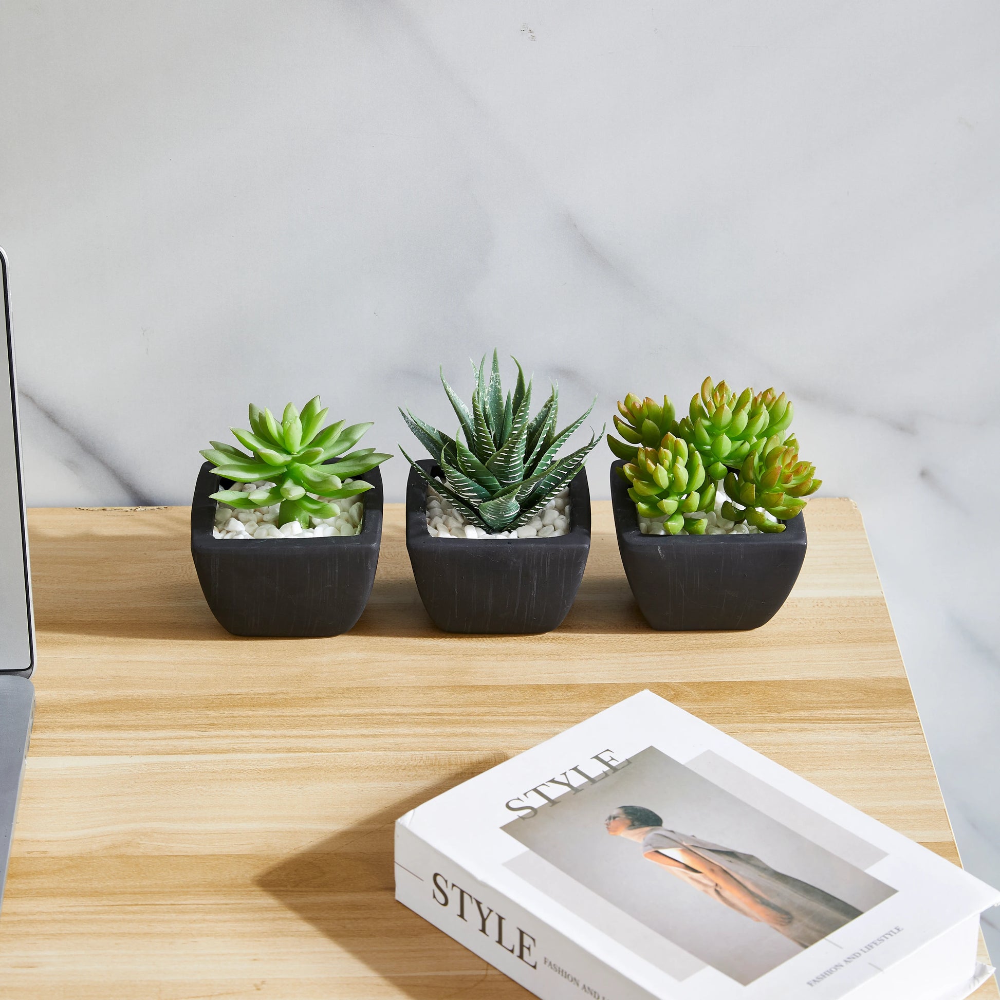 Künstliches Sukkulenten-Set – Aurea | 14 cm