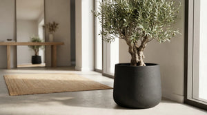 Pflanztopf Kiesel schwarz | 44X37