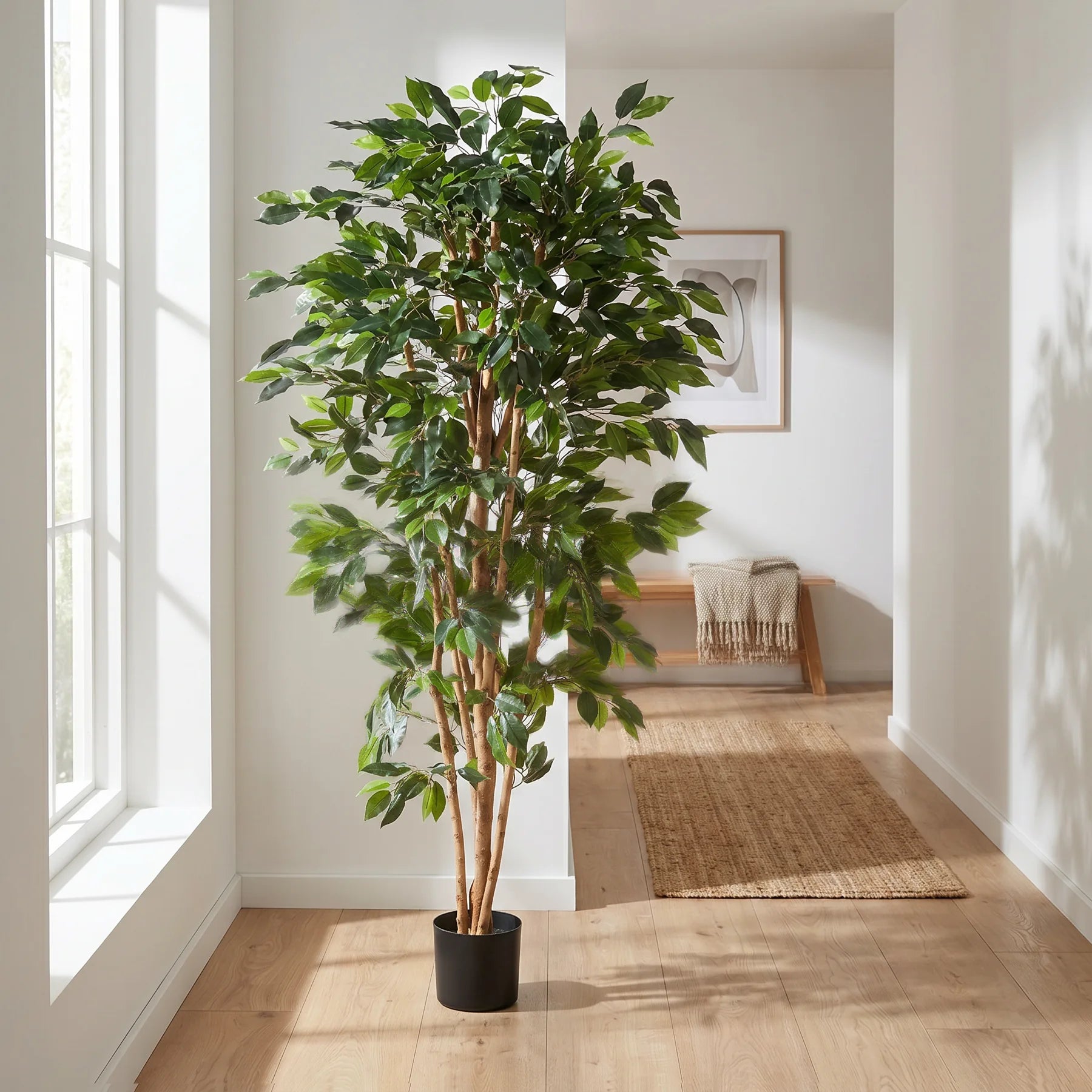 Künstlicher Ficusbaum - Sylvior, 150 cm, Kunstbaum von aplanta, mit Echtholzstamm, UV-beständig, inkl. Startertopf, in Grün
