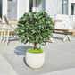 Künstlicher Lorbeerbaum - Vaelis, 75 cm, Kunstbaum von aplanta, mit Echtholzstamm, UV-beständig, inkl. Startertopf, in Grün