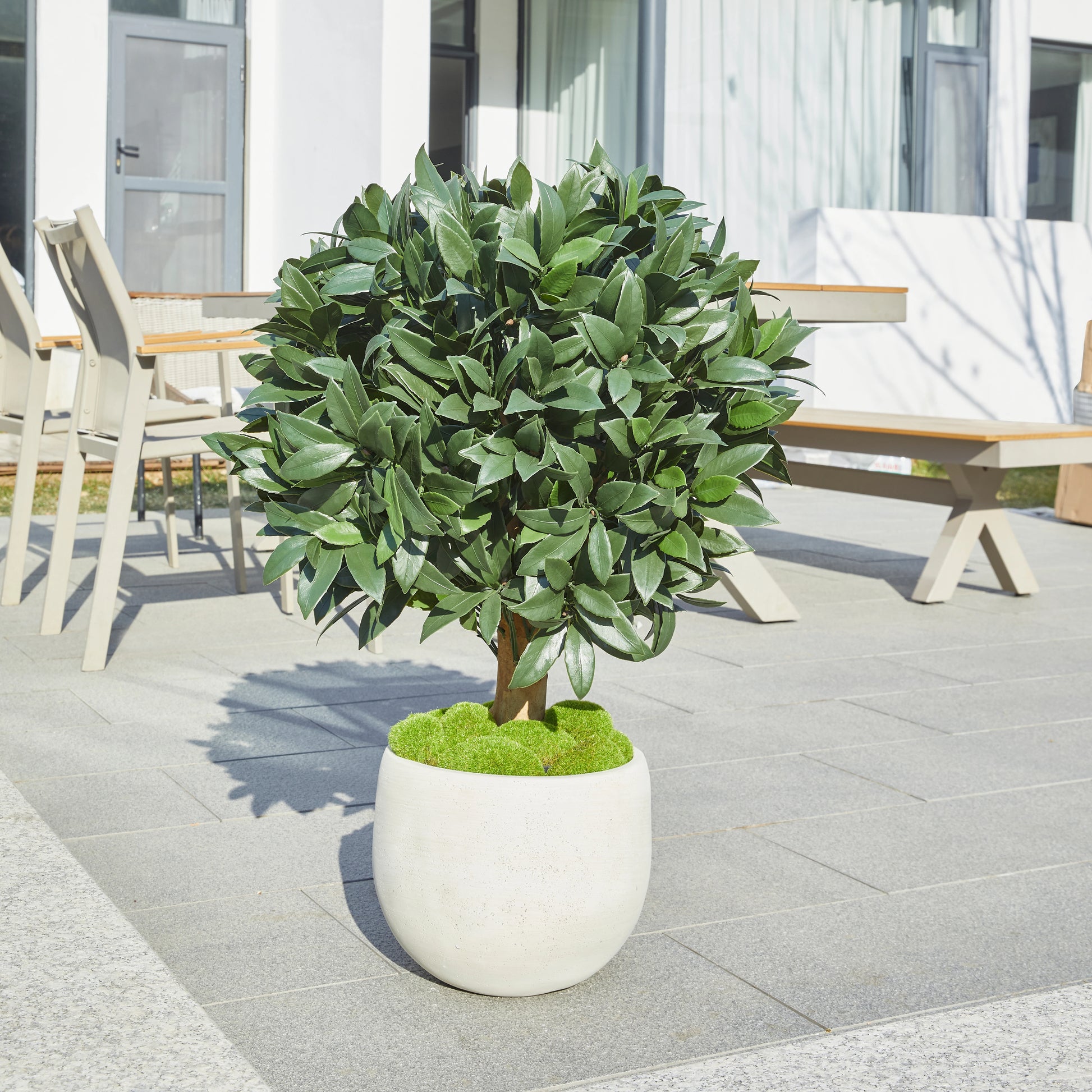 Künstlicher Lorbeerbaum – Vaelis | 75 cm