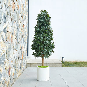Künstlicher Lorbeerbaum – Alarion | 150 cm
