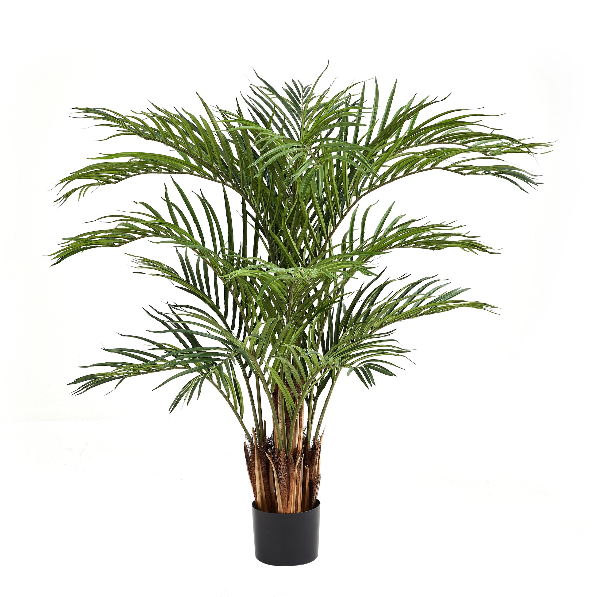 Knstliche Kentia-Palme  Caliora | 140 cm | kaufen aplanta