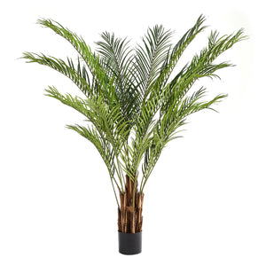 Künstliche Areca-Palme – Lysandria | 210 cm
