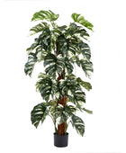 Künstlicher Split-Philodendron – Elowen | 150 cm