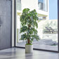 Künstlicher Split-Philodendron - Elowen, 150 cm, Kunstpflanze von aplanta, inkl. Startertopf, in Bunt, für drinnen