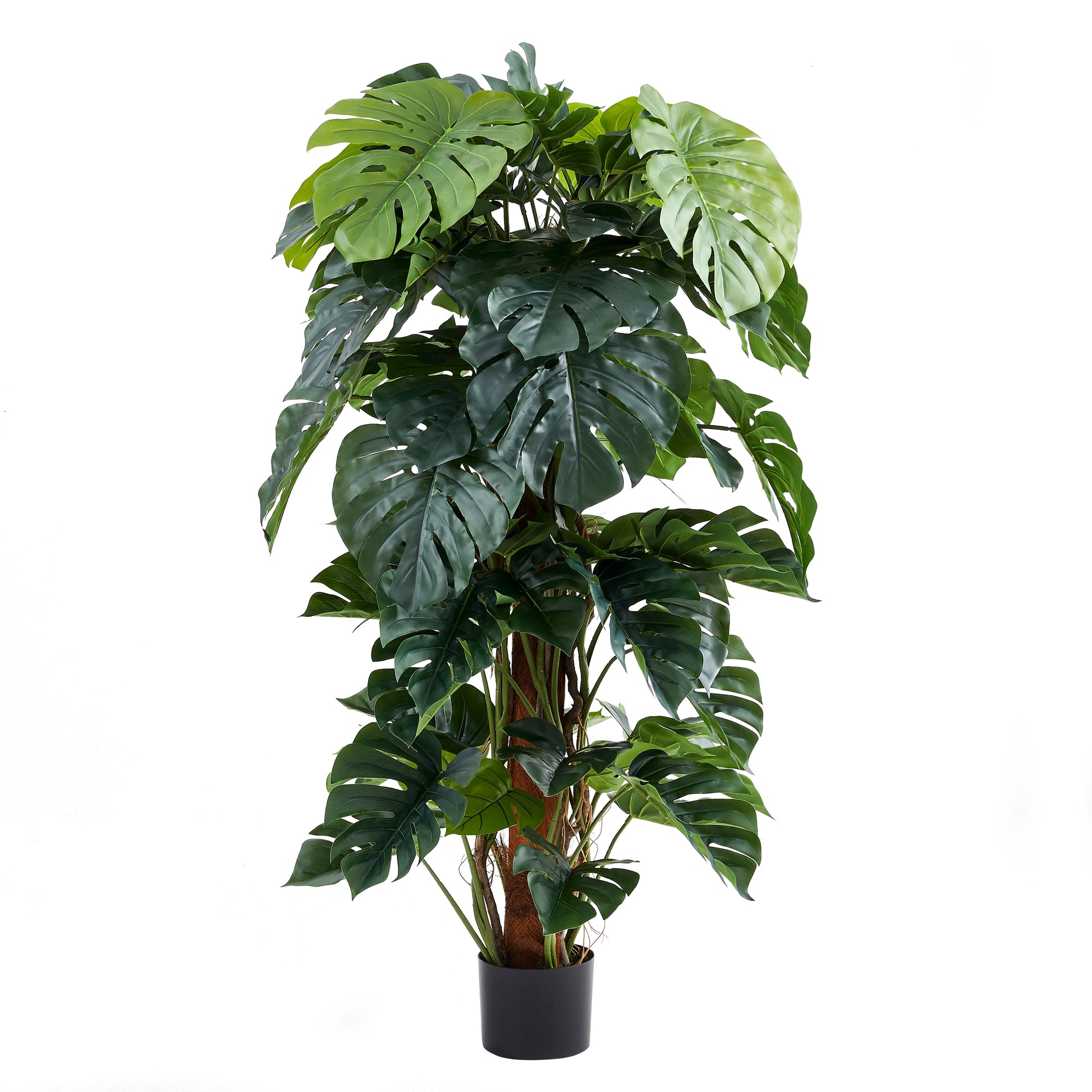 Künstlicher Split-Philodendron - Zephira, 160 cm, Kunstpflanze von aplanta, inkl. Startertopf, in Grün, für drinnen