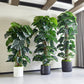 Künstlicher Split-Philodendron - Zephira, 160 cm, Kunstpflanze von aplanta, inkl. Startertopf, in Grün, für drinnen