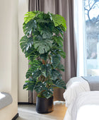 Künstlicher Split-Philodendron – Zephira | 190 cm