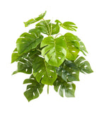 Künstlicher Monstera – Alenia | 50 cm