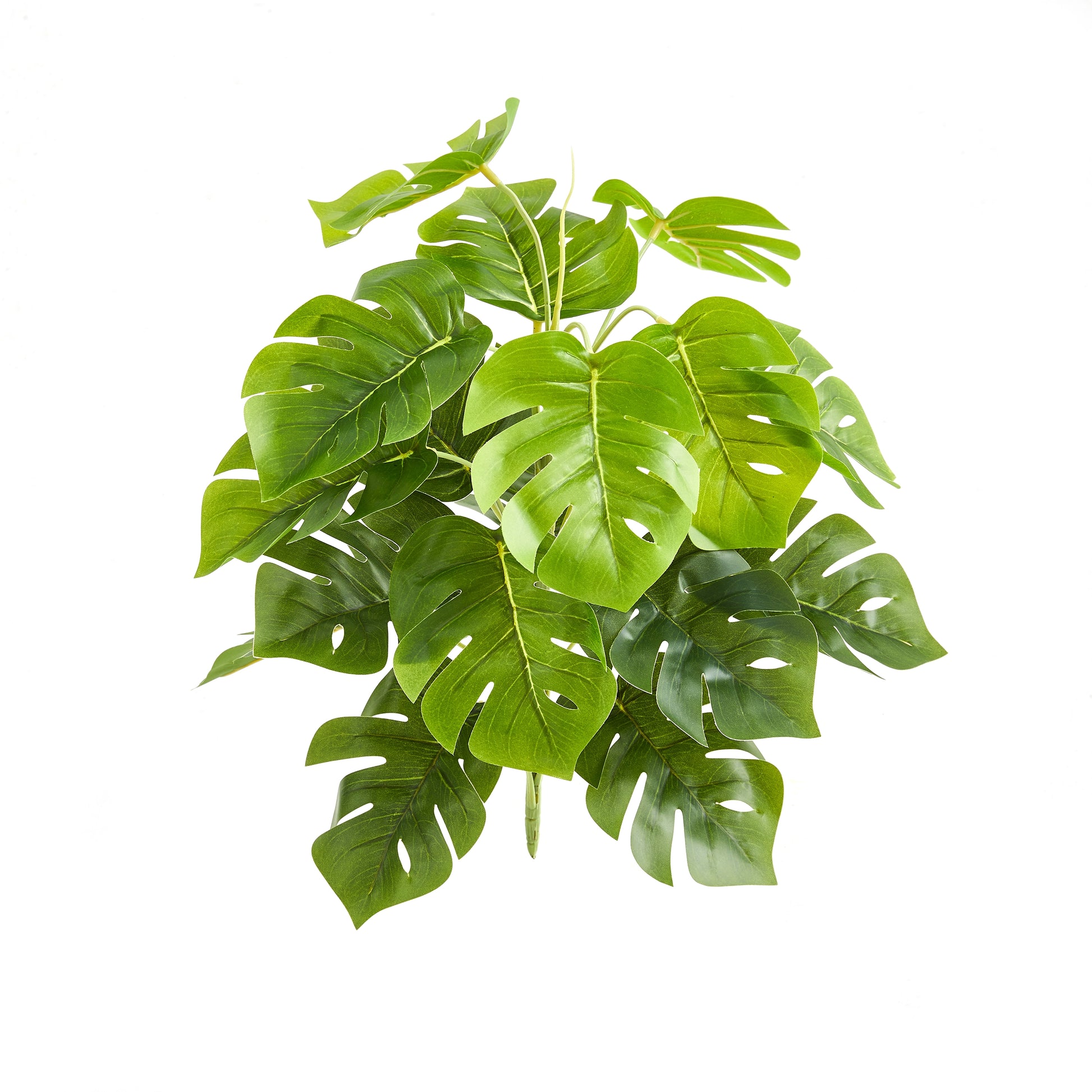 Künstlicher Monstera – Alenia | 50 cm