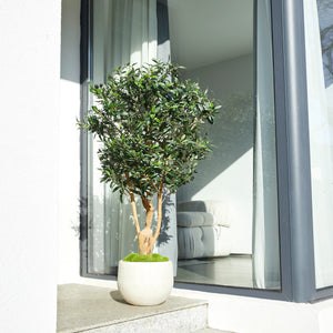 Künstlicher Olivenbaum – Lysandra | 120 cm