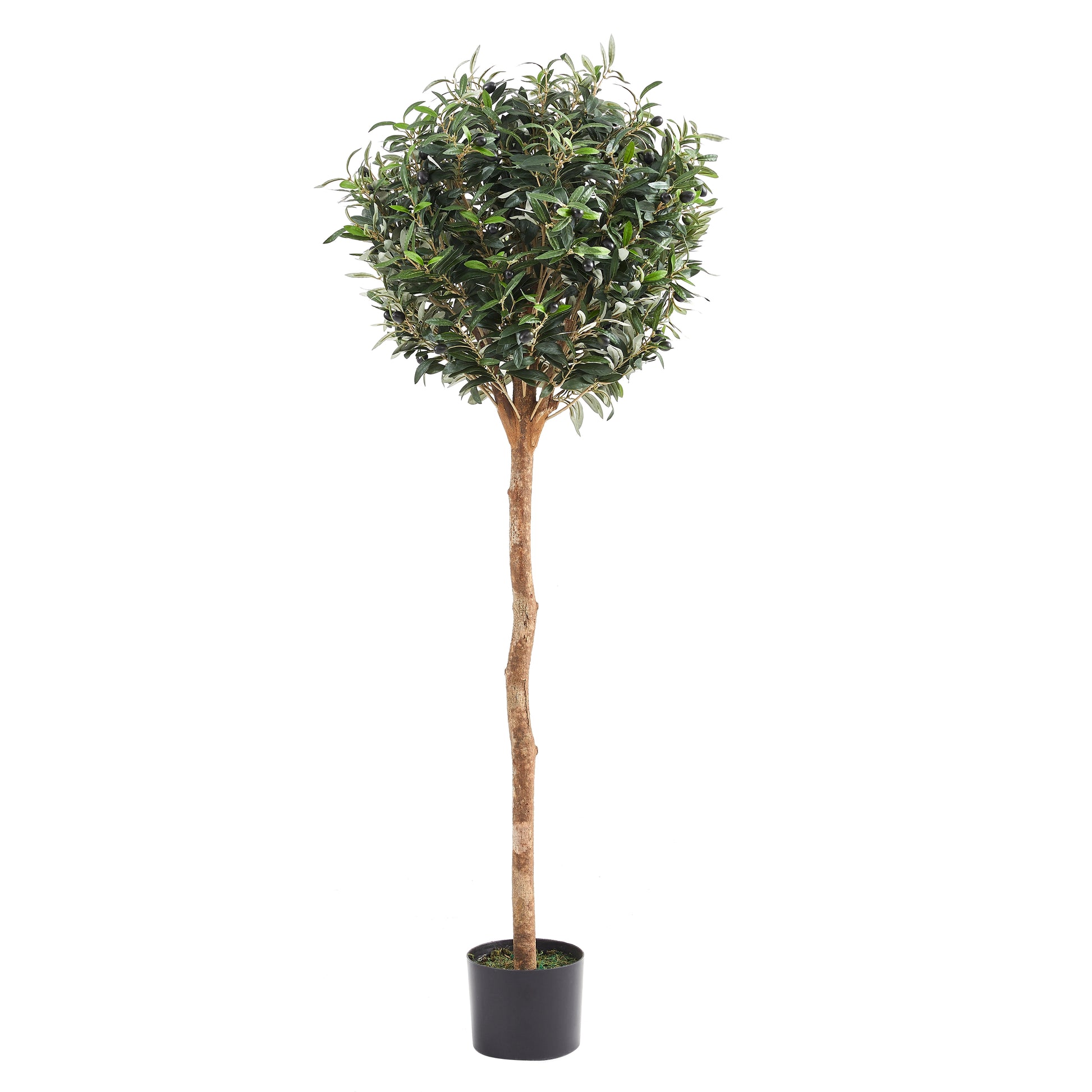 Künstlicher Olivenbaum - Thalior, 150 cm, Kunstbaum von aplanta, mit Echtholzstamm, UV-beständig, inkl. Startertopf, in Grün