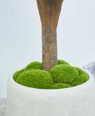 Künstlicher Olivenbaum – Nerio | 75 cm