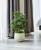 Künstliche Dracaena Reflexa – Orielle | 70 cm