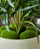 Künstliche Dracaena Reflexa – Orielle | 70 cm