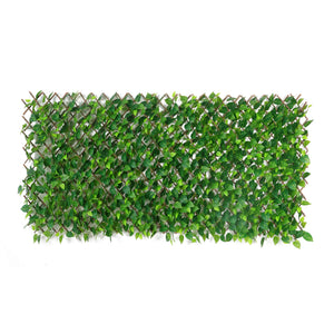 Flexible Pothos Pflanzenwand - Melvin I 130-200 cm