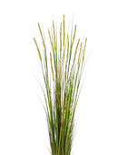 Künstlicher Fuchsschwanz - Fox | 180 cm