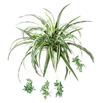 Künstliche Grünlilie - Lili, 60 cm, Kunstpflanze von aplanta, Steckpflanze, in Natur, für drinnen