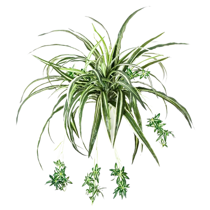 Künstliche Grünlilie - Lili, 60 cm, Kunstpflanze von aplanta, Steckpflanze, in Natur, für drinnen