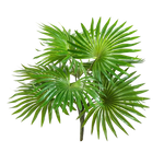 Künstlicher Palmenbusch - Carina, 35 cm, Kunstpflanze von aplanta, Steckpflanze, in Natur, für drinnen