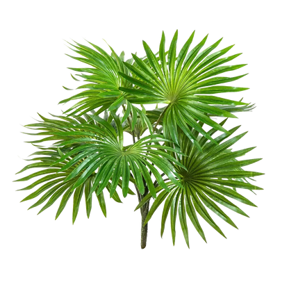 Künstlicher Palmenbusch - Carina, 35 cm, Kunstpflanze von aplanta, Steckpflanze, in Natur, für drinnen