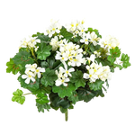 Künstliche Geranie - Anton, 35 cm, Kunstpflanze von aplanta, Steckpflanze, in Natur, für drinnen